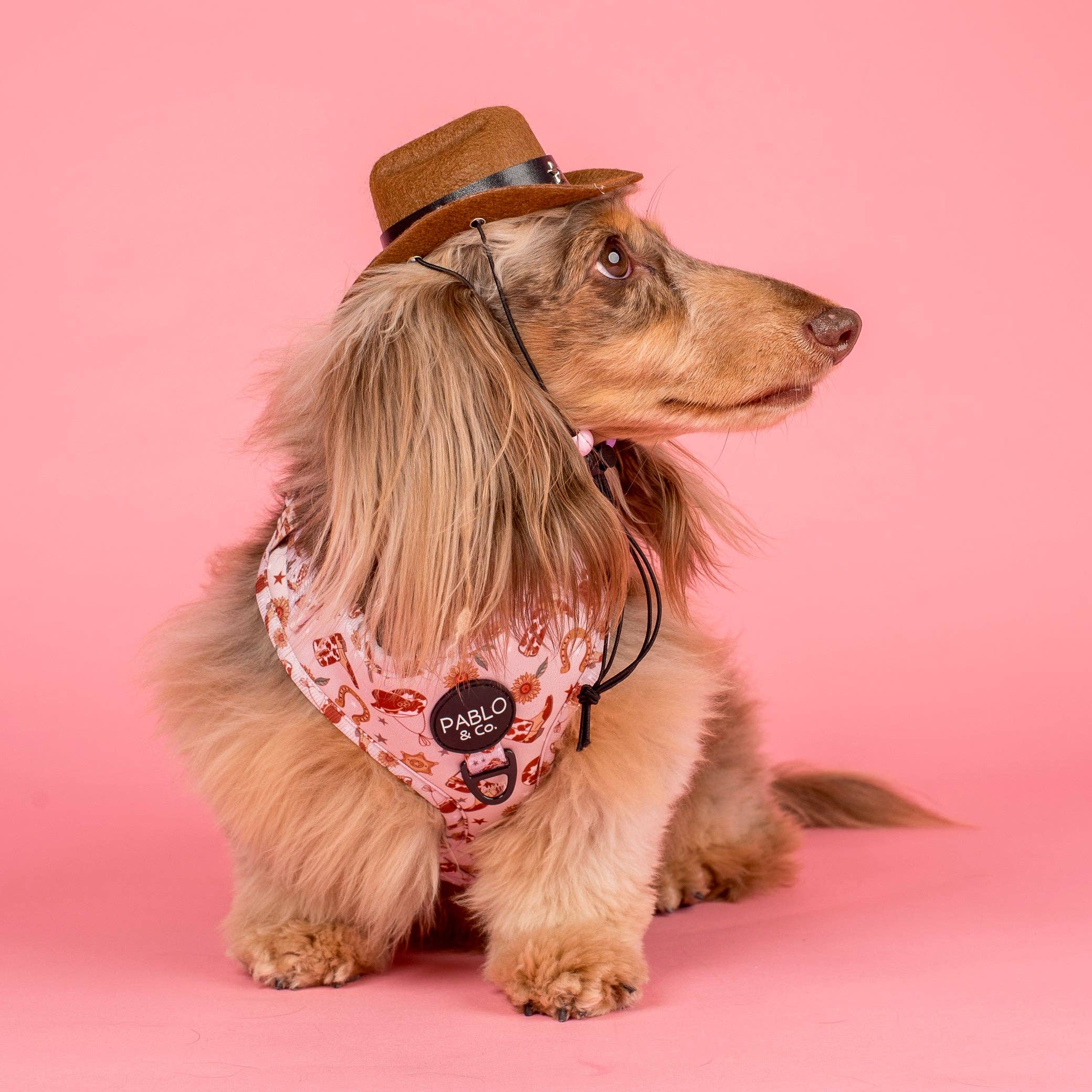 Howdy: Adjustable Harness - Image 3