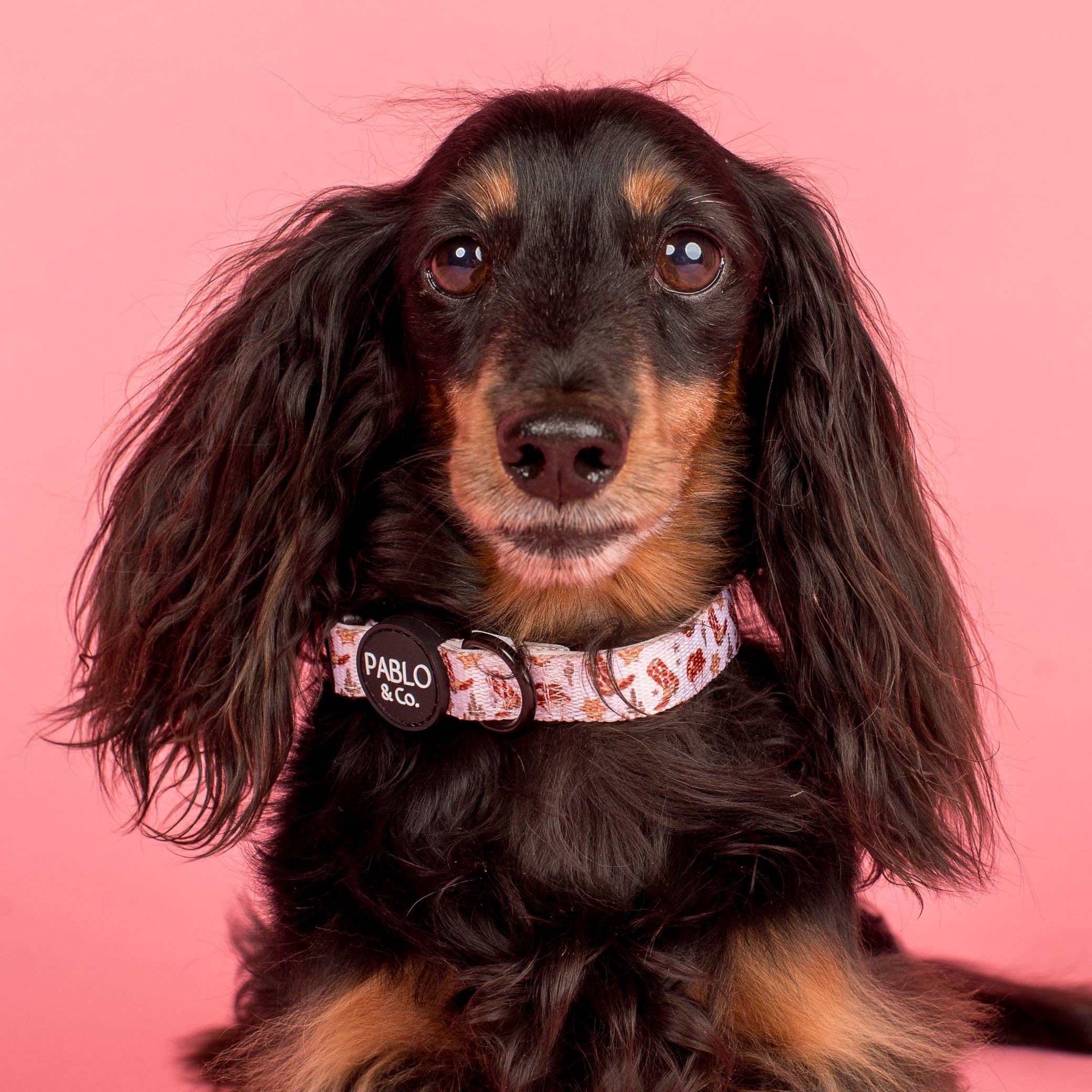 Howdy: Collar - Image 3